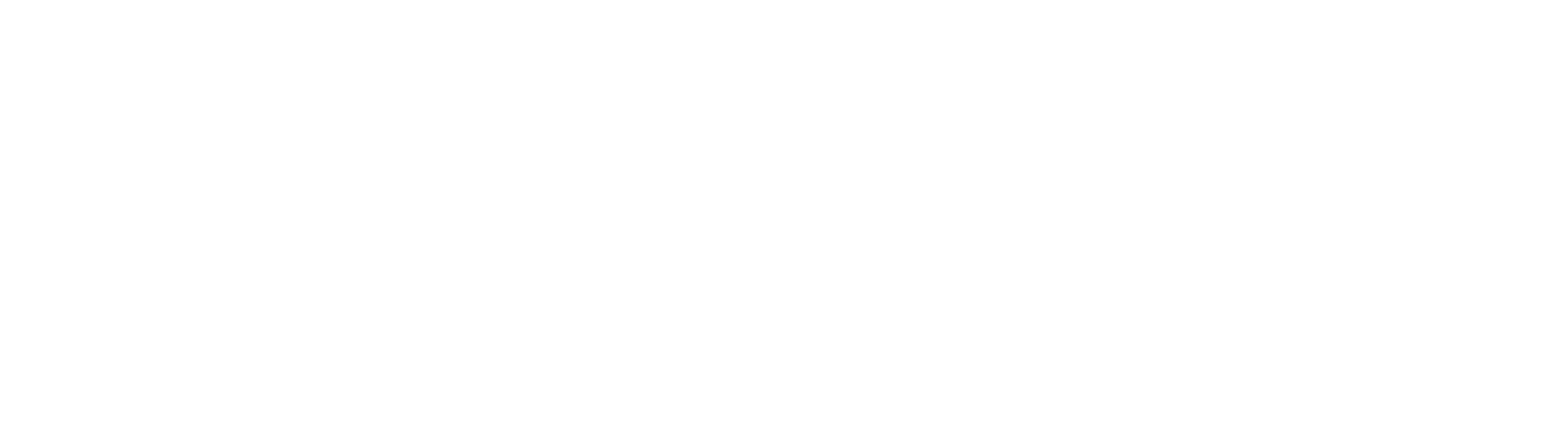 newhorizons